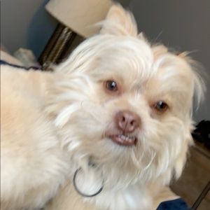 Meet your Posher, Mark